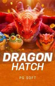 dragon hatch card